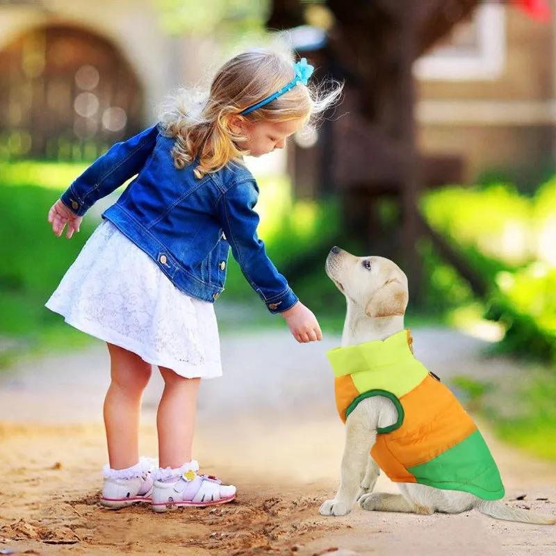 Dog Cat Coat With Leash Anchor Color Patchwork Padded Puppy Vest Jacket Teddy Chihuahua Costumes