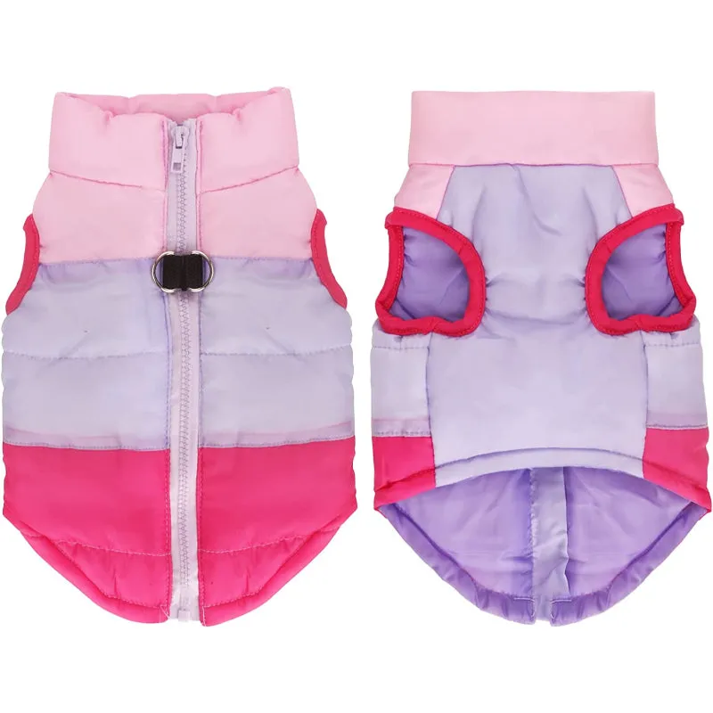 Dog Cat Coat With Leash Anchor Color Patchwork Padded Puppy Vest Jacket Teddy Chihuahua Costumes
