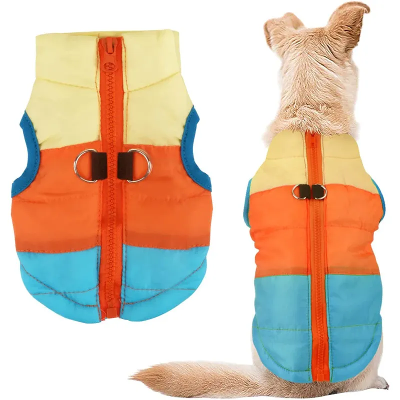 Dog Cat Coat With Leash Anchor Color Patchwork Padded Puppy Vest Jacket Teddy Chihuahua Costumes