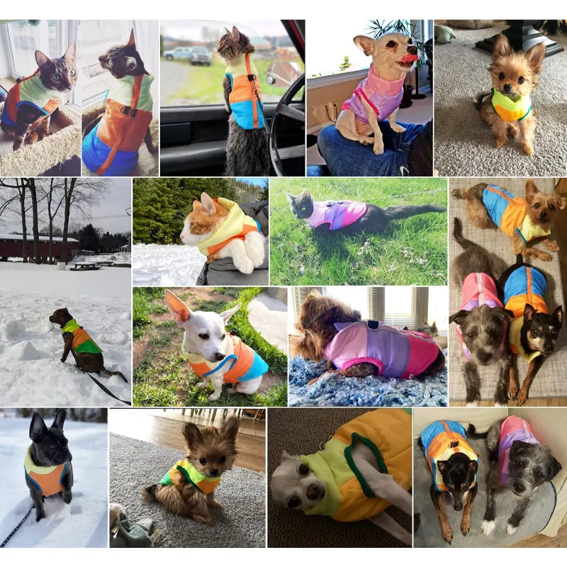 Dog Cat Coat With Leash Anchor Color Patchwork Padded Puppy Vest Jacket Teddy Chihuahua Costumes