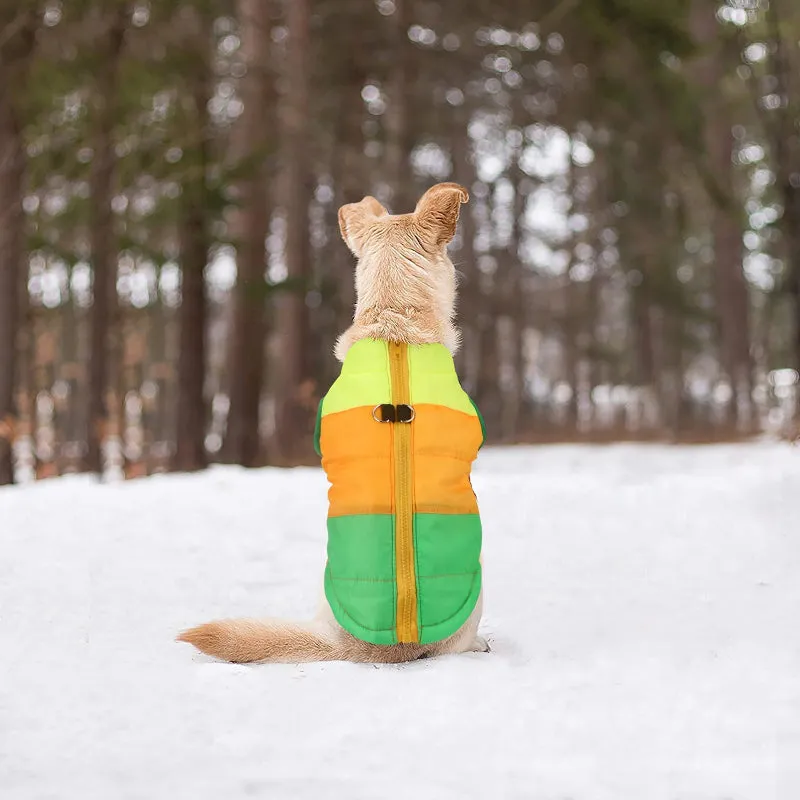 Dog Cat Coat With Leash Anchor Color Patchwork Padded Puppy Vest Jacket Teddy Chihuahua Costumes