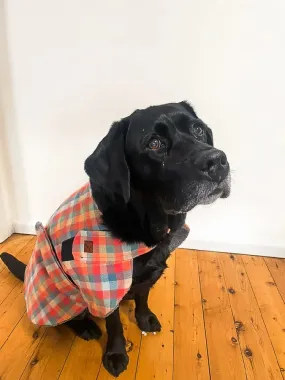 Pumpkin Spice Flannelette Dog Coat